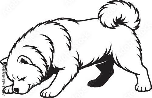 Chow Chow sniff tracking nose down black and white line art illustration