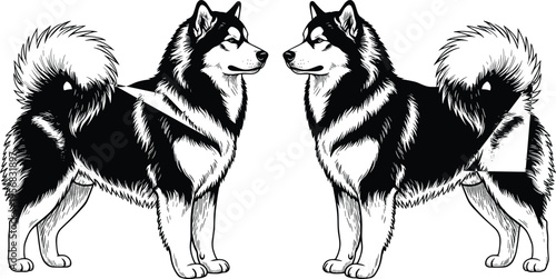 Black and white husky dog illustration pair detailed engraving style domestic animal standing facing each other isolated on white background