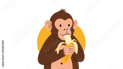 Adorable brown monkey sitting against a yellow circle background and enjoying a freshly peeled yellow banana with a smile.