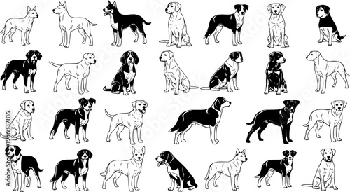 Seamless pattern with various dog breeds in black and white line art illustration style, featuring different poses of cute canine companions for pet-themed designs.