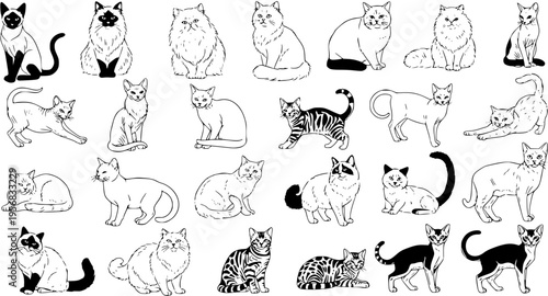 Hand-drawn cat breeds collection: a detailed line art illustration featuring diverse feline animals in various poses, perfect for pet-themed designs.