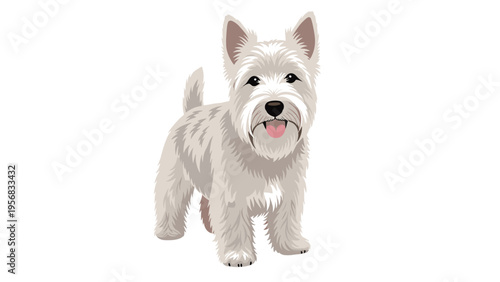 Adorable West Highland White Terrier dog standing with its tongue out and a happy expression on a clean white background.
