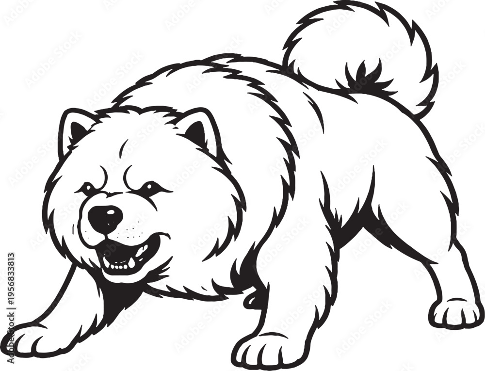 Fototapeta premium Chow Chow growling low guard stance black and white line art illustration