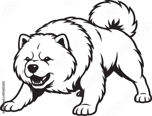 Chow Chow growling low guard stance black and white line art illustration