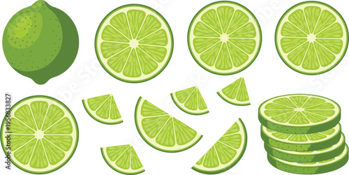 Lime Fruit Vector Set with Whole Citrus, Slices, Wedges and Stacked Pieces for Fresh Juice Illustration, Organic Ingredient Design and Tropical Food Graphics