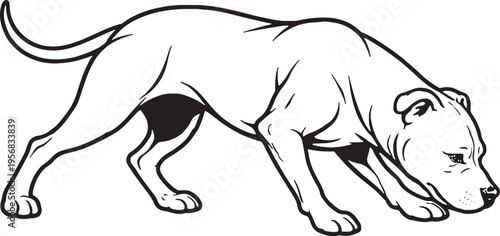 American Pit Bull Terrier Sniff Tracking Nose Down Black and White Line Art Vector