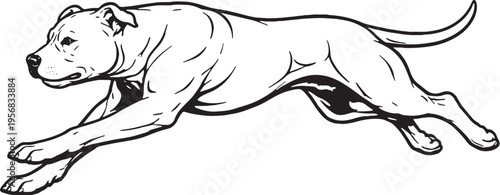 Foto American Pit Bull Terrier Running Sprint Side View Black and White Line Art Illu
