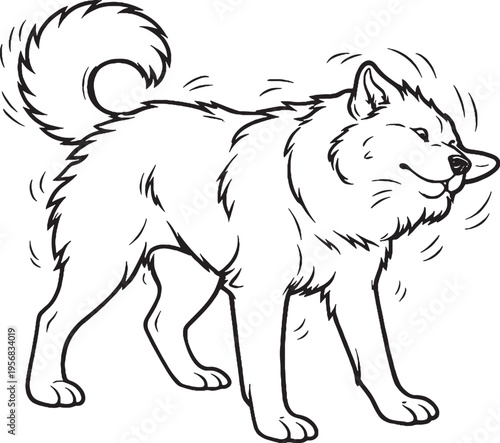 Alaskan Malamute Shaking Water Full Body Shake Black and White Line Art Illustration