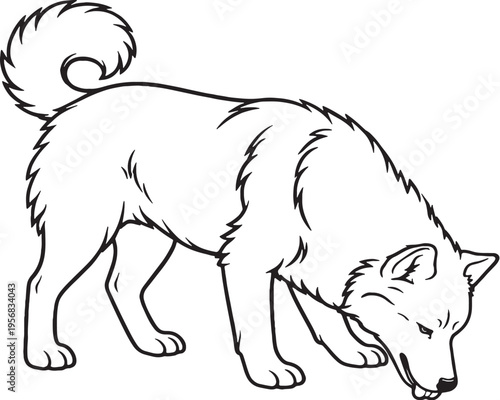 Alaskan Malamute Eating Posture Side View Black and White Line Art Illustration