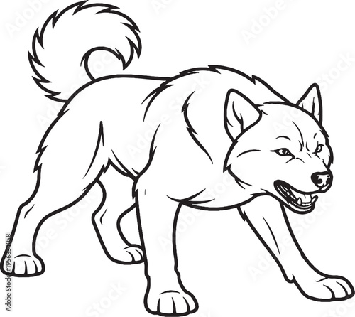 Alaskan Malamute Growling Low Guard Stance Black and White Line Art Illustration