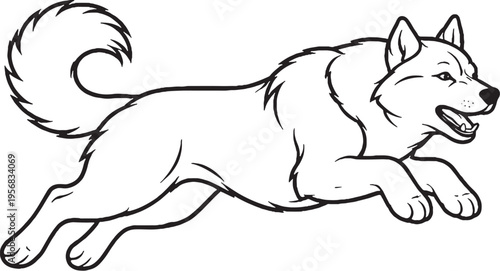Alaskan Malamute Jumping Mid Air Side View Black and White Line Art Illustration