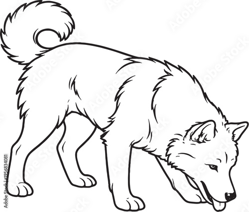 Alaskan Malamute Drinking Water Black and White Line Art Illustration