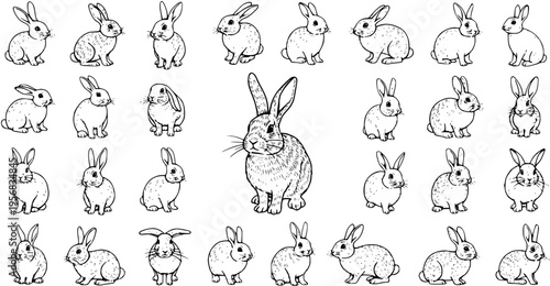 Diverse Rabbit Collection: Black and White Line Art Illustration of Various Bunny Poses and Breeds