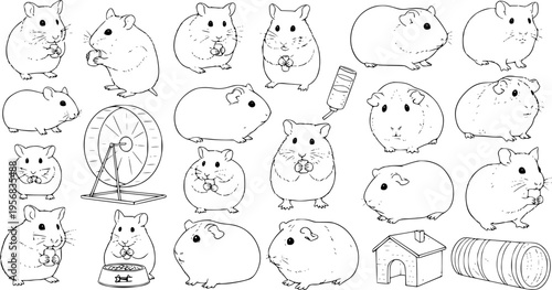Whimsical Line Art Illustration of Guinea Pigs and Hamster Accessories