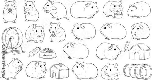 Hand-Drawn Hamsters and Guinea Pigs with Accessories: Cute Pet Illustrations for Kids and Animal Lovers