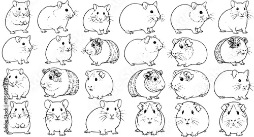 Hamster and Guinea Pig Mania: Black and White Vector Illustration with Multiple Poses