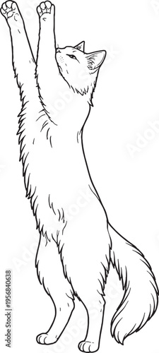 Turkish Van Cat Reaching Up Front Paws Black White Line Art Illustration