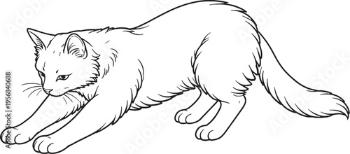 Turkish Van Cat Kneading Paws Black White Line Art Illustration
