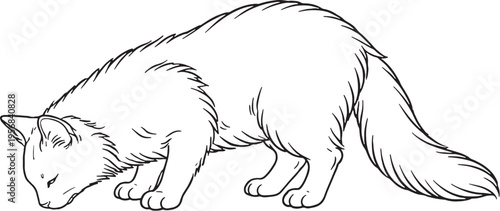 Photography Turkish Angora Cat Eating Posture Black and White Line Art Feline Pet Behavior I