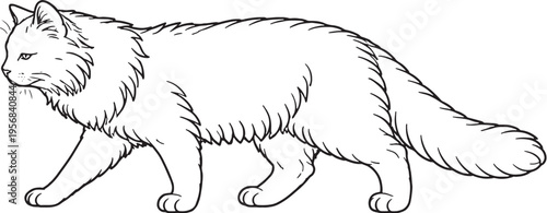 Siberian Cat Walking Side View Line Art, Fluffy Cat Black White Vector Illustration