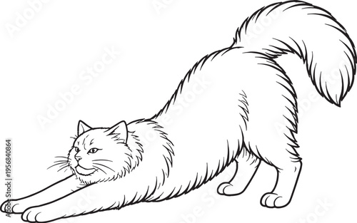 Siberian Cat Stretching Forward Line Art, Fluffy Cat Stretch Pose Black White Vector Illustration