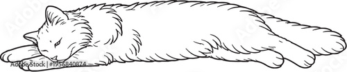 Siberian Cat Sleeping Stretched Out Line Art, Fluffy Cat Side View Black White Vector Illustration
