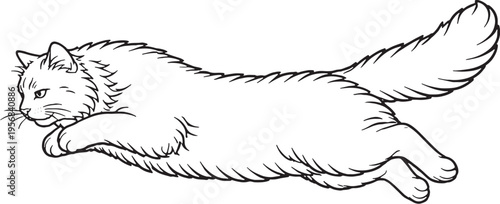 Siberian Cat Mid Air Leap Line Art, Jumping Fluffy Cat Black White Vector Illustration