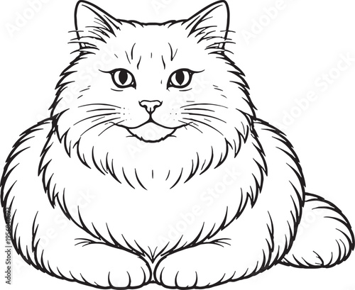 Siberian Cat Loaf Sitting Line Art, Fluffy Cat Front View Black White Vector Illustration