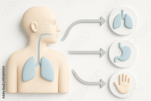 Medical safety visualization showing exposure pathways into human body. This minimal clinical design features icons of head, lung, stomach, and hand illustrating infection routes