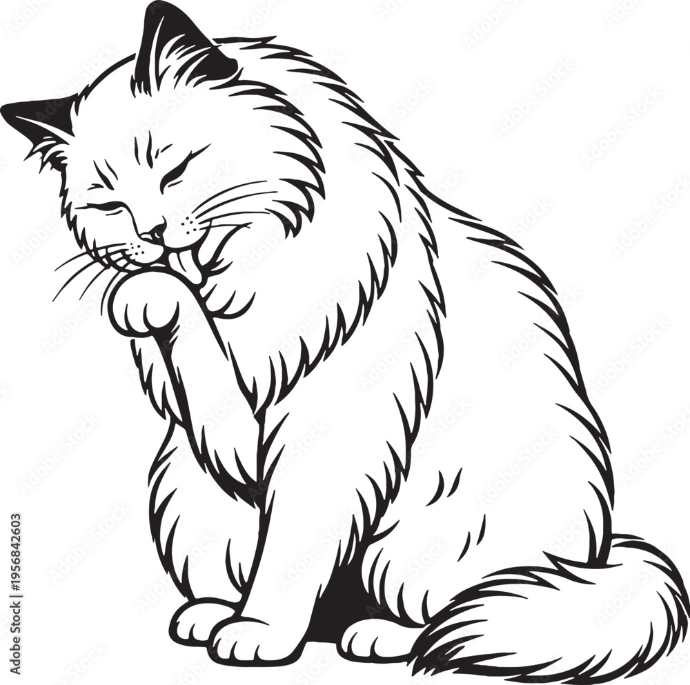 Obraz premium Ragdoll Cat Grooming Paw Lick Black and White Line Art Pet Behavior Illustration