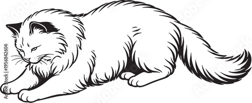 Ragdoll Cat Kneading Paws Side View Black and White Line Art Comfort Behavior Illustration
