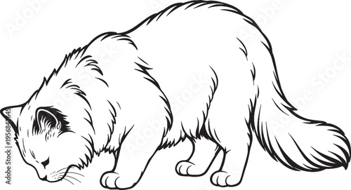Ragdoll Cat Eating Side View Black and White Line Art Pet Behavior Illustration