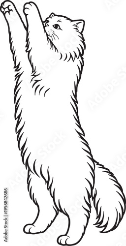 Persian Cat Reaching Up Standing on Hind Legs Clean Black and White Line Art Pet Behavior Illustration