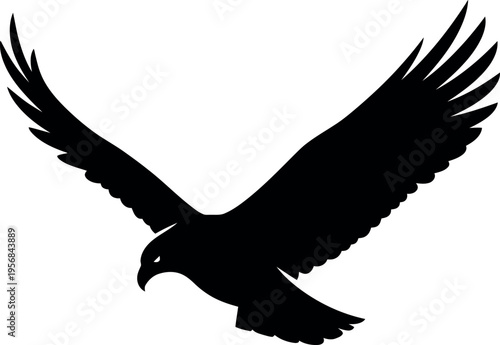 A striking silhouette of an eagle in mid flight wings fully extended