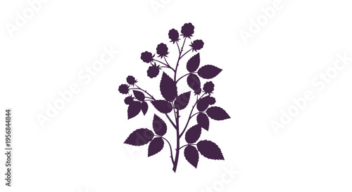 Purple Flowering Plant with Leaves.
