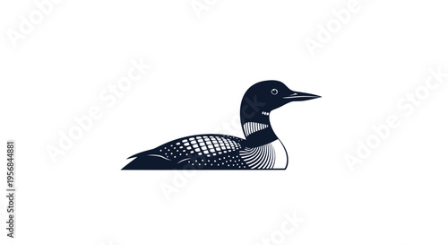 Black and White Loon Bird Illustration.