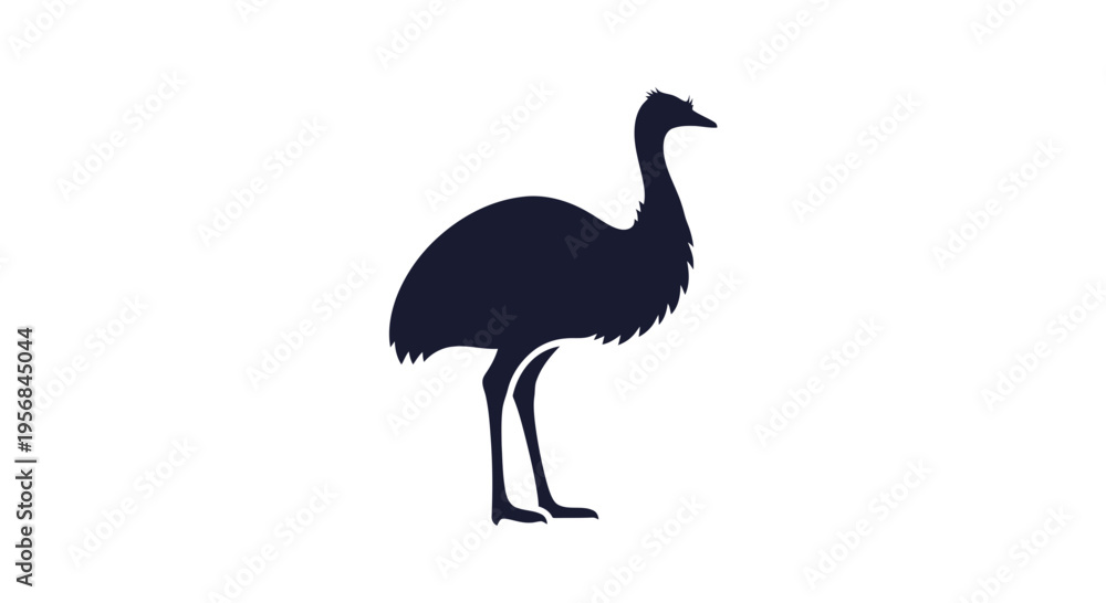 Fototapeta premium Silhouette of an Emu Standing Alone.