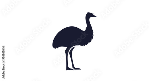 Silhouette of an Emu Standing Alone.