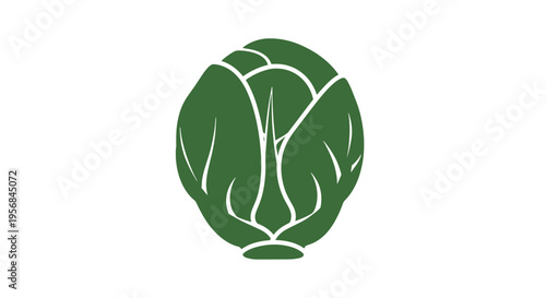 Green Cabbage Vegetable Illustration Simple Design.