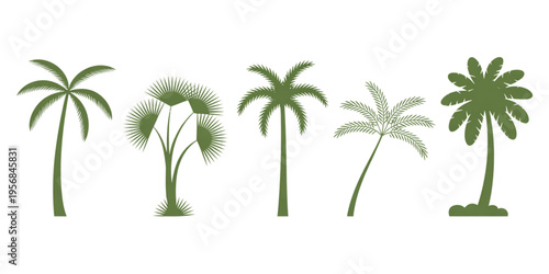 A collection of five different green tropical palm tree silhouettes representing exotic nature Vector