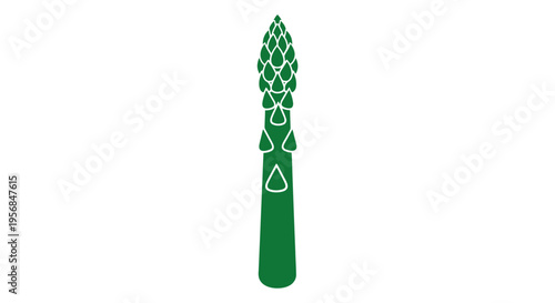 Green Asparagus Spear with White Background.