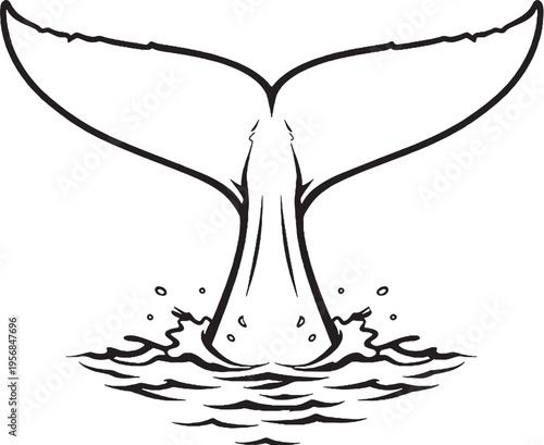 Whale tail diving rear view black and white line art marine mammal fluke illustration.eps