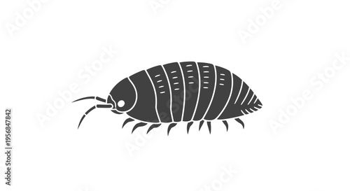 Simple Line Drawing of an Isopod.