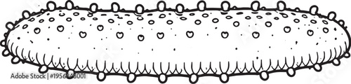 Sea Cucumber Side View Clean Black White Line Art Marine Echinoderm Illustration