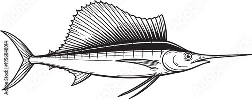 Sailfish Extended Dorsal Fin Side View Clean Black And White Line Art Pelagic Fish Illustration