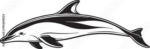 Pacific White Sided Dolphin Swimming Black and White Line Art Marine Mammal Vector Illustration