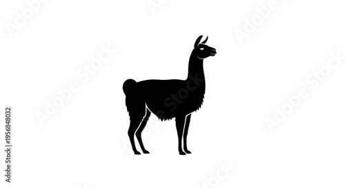 Llama Silhouette Standing Alone Isolated.