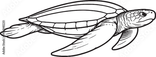 leatherback sea turtle swimming side view line art marine reptile outline illustration black white ocean wildlife vector