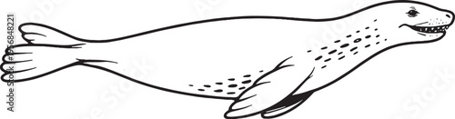 Leopard Seal Swimming Side View Black and White Line Art Marine Mammal Vector Illustration