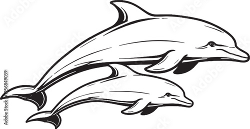 Dolphin mother and calf swimming black and white line art marine mammal illustration
